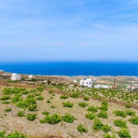 Santorini is a volcanic island in the Cyclades group of the Greek islands.